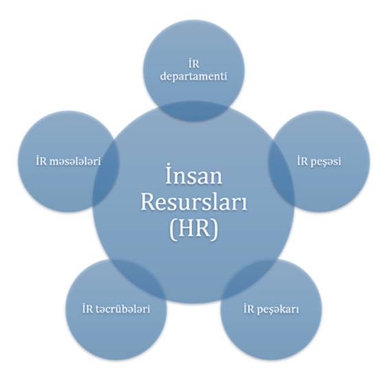 İnsan resursları barədə 5 anlayış