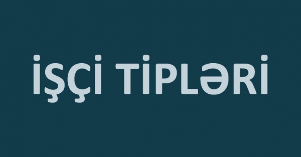 Səriştəlilik və motivasiya meyyarları əsasında işçi tiplərinin klassifikasiyası