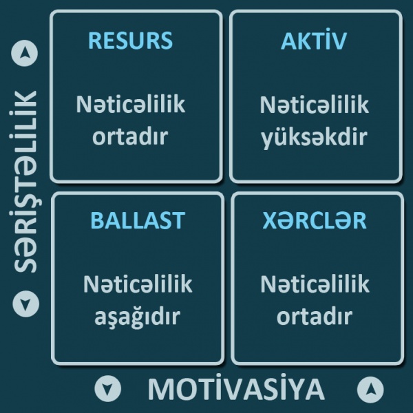 Səriştəlilik və motivasiya meyyarları əsasında işçi tiplərinin klassifikasiyası