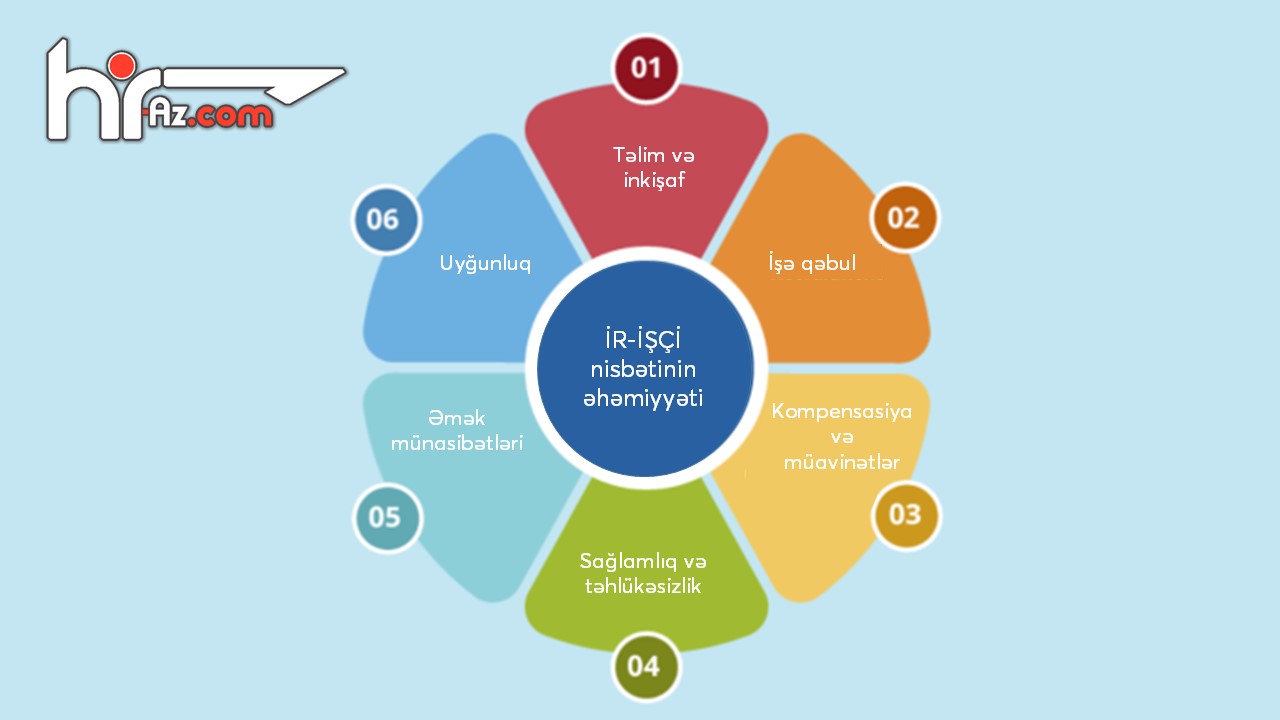 Optimal İR-İşçi nisbəti nədir, niyə lazımdır və necə hesablanır?