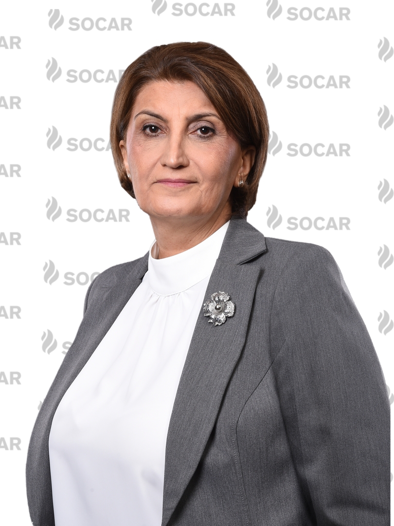 Yüksək vəzifələrə yeni təyinatlar - DOSYE