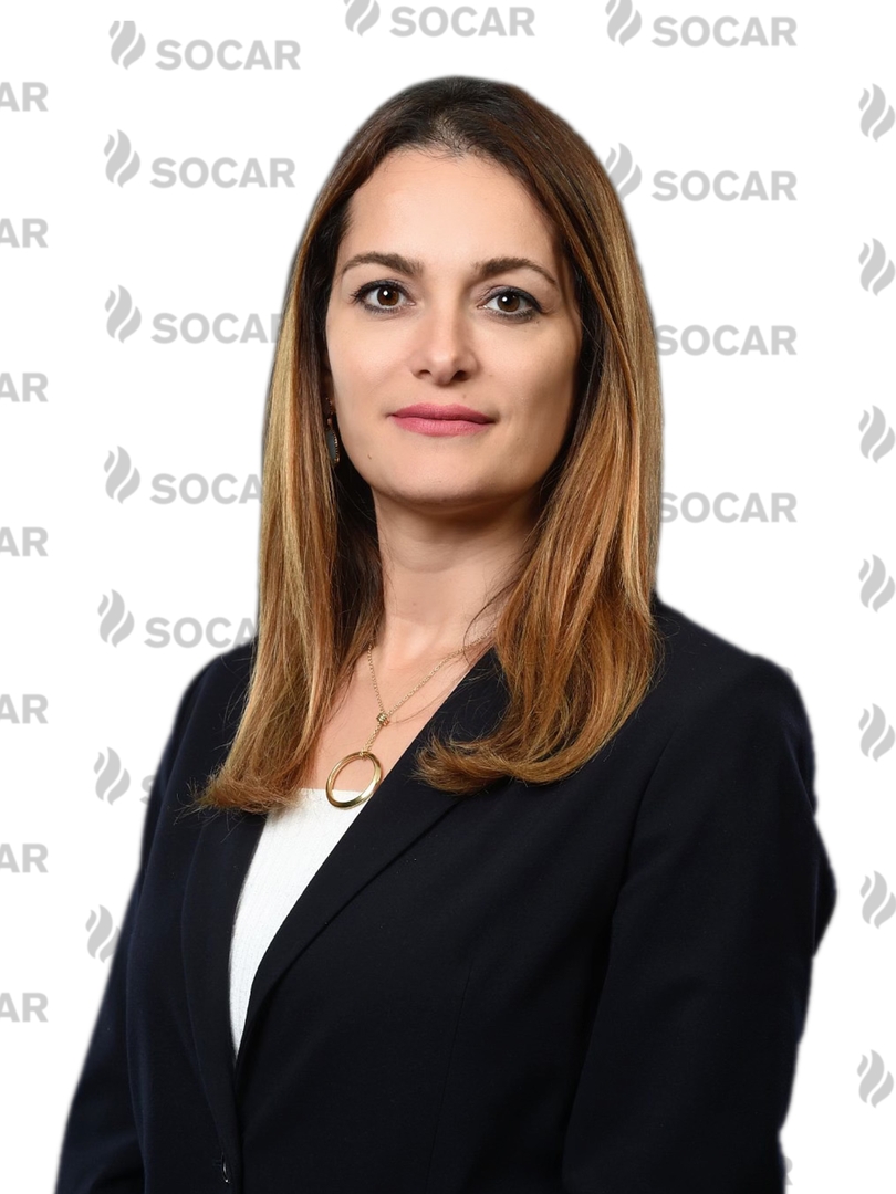 Yüksək vəzifələrə yeni təyinatlar - DOSYE